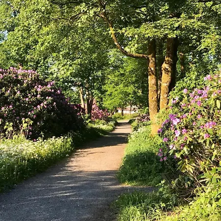 Apartment Schoenes Leben Goslar