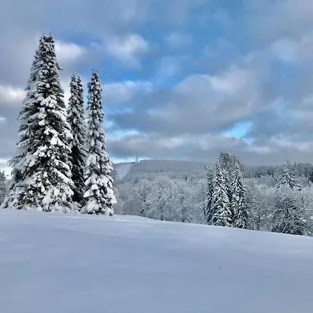 Schoenes Leben Goslar