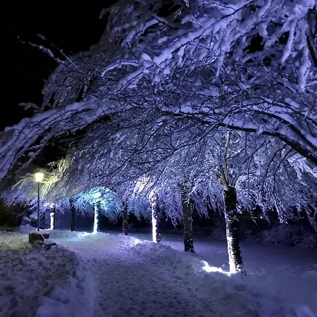 Schoenes Leben Apartment Goslar