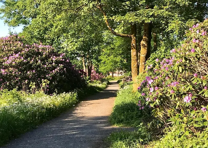 Apartament Schoenes Leben Goslar