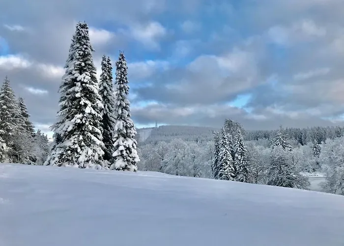 Schoenes Leben Goslar
