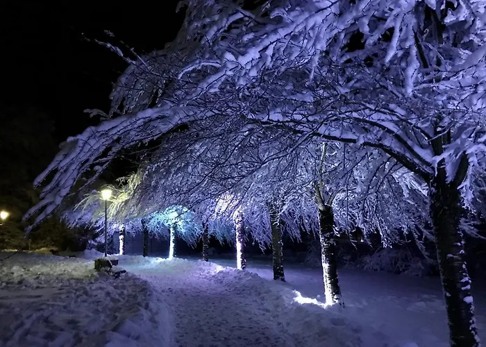 Schoenes Leben Apartament Goslar