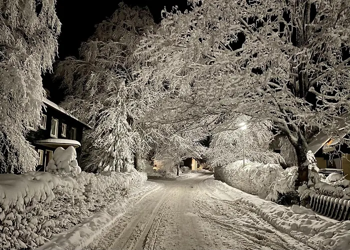 Schoenes Leben Apartament *