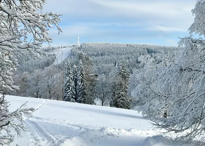 Apartament Schoenes Leben *